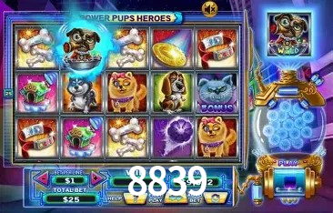 8839 Rio de Janeiro - Slot Strategy